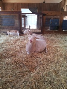 You will go to many of these places you've been able to avoid all your life. 